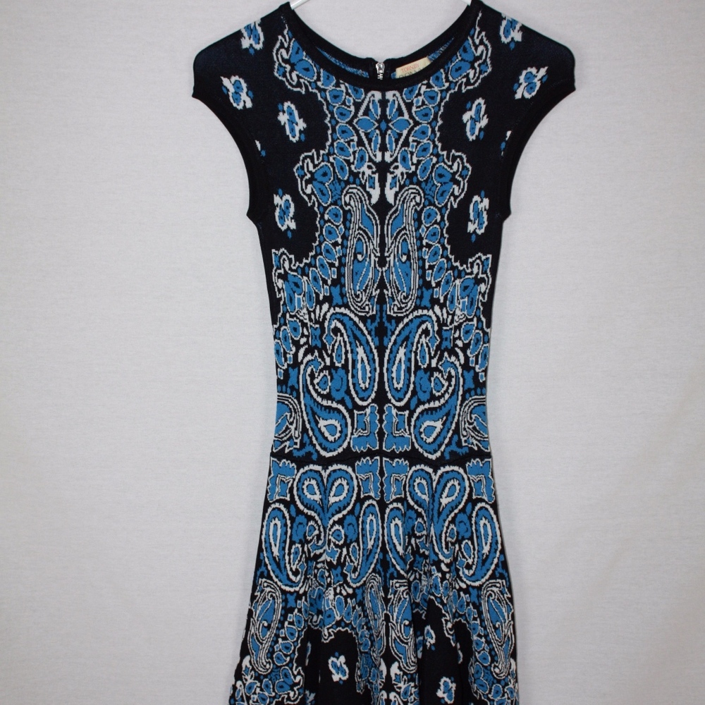 Torn by Ronny Kobo Mini Knit Dress